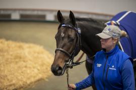 Lot  1971 TDM 11122Tattersalls