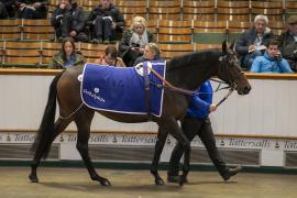 Lot  1971 TDM 11150Tattersalls