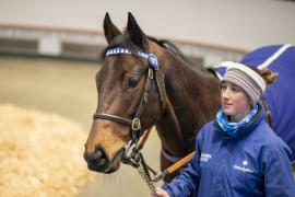 Lot  1972 TDM 11181Tattersalls