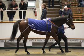 Lot  1972 TDM 11228Tattersalls