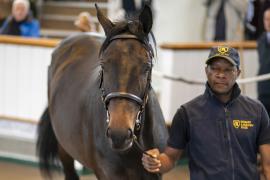 Lot  1 TBK1 0045Tattersalls