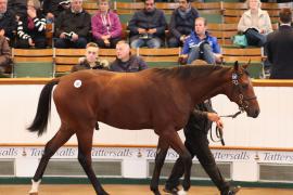 Lot  200 T B K1 0878 Tattersalls