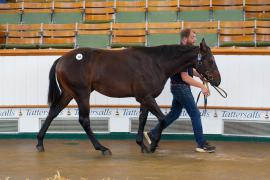 Lot  200 TSS1847Tattersalls