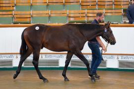 Lot  200 TSS1878Tattersalls