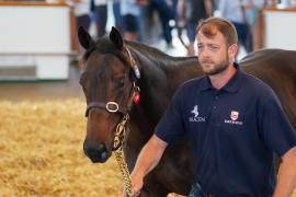 Lot  200 TSS1904Tattersalls