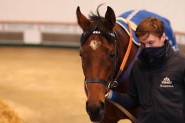 Lot  2038 TDM9573Tattersalls