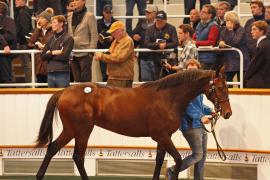 Lot  204 T B K1 0292 Tattersalls