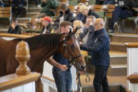 Lot  209 TBK1 5303Tattersalls