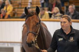 Lot  216 TBK1 5603Tattersalls