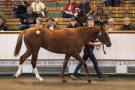 Lot  218 TBK1 5747Tattersalls