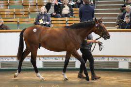 Lot  228 TBK1 5814Tattersalls