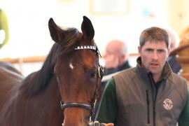 Lot  229 T B1 0643 Tattersalls