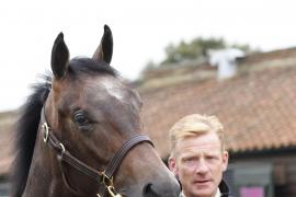 Lot  235 T B K1 0813 Tattersalls