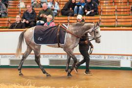 Lot  236 THIT 052Tattersalls