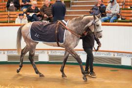 Lot  236 THIT 113Tattersalls