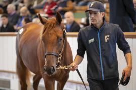 Lot  242 TBK1 6657Tattersalls