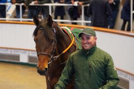 Lot  243 THIT 184Tattersalls