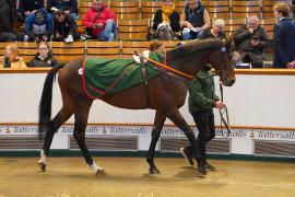 Lot  243 THIT 197Tattersalls