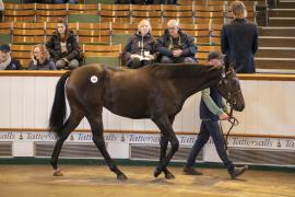 Lot  246 TBK1 6766Tattersalls