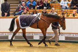 Lot  256 THIT 580Tattersalls