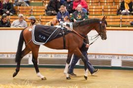 Lot  257 THIT 241Tattersalls