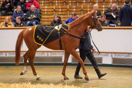 Lot  259 THIT 390Tattersalls