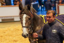 Lot  261 THIT 629Tattersalls