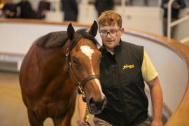 Lot  265 TBK1 6872Tattersalls