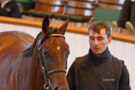 Lot  272 T B1 1070 Tattersalls