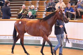 Lot  272 T B1 1170 Tattersalls