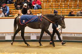 Lot  273 THIT 773Tattersalls