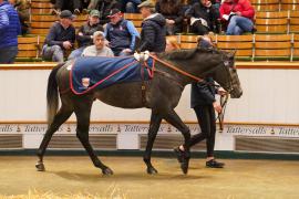 Lot  273 THIT 905Tattersalls