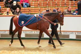 Lot  274 THIT 829Tattersalls