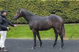 Lot  275 1658 TBK1Tattersalls