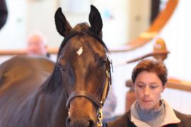 Lot  279 T B1 1209 Tattersalls