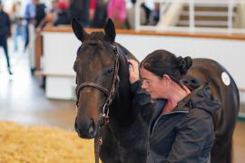 Lot  279 TSS299Tattersalls