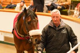 Lot  299 THIT 749Tattersalls