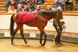 Lot  299 THIT 879Tattersalls