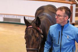 Lot  300 T B K1 2374 Tattersalls