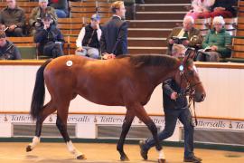 Lot  301 T B1 1545 Tattersalls