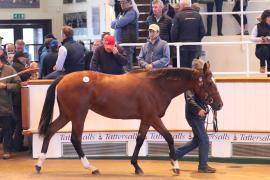 Lot  301 T B1 1573 Tattersalls