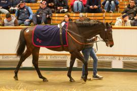 Lot  303 THIT 943Tattersalls