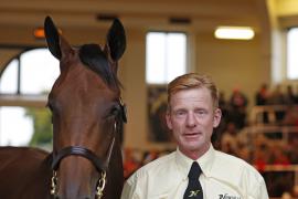 Lot  304 T B K1 1723 Tattersalls