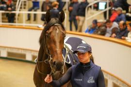 Lot  308 THIT 987Tattersalls