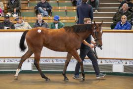 Lot  315 TBK1 8400Tattersalls