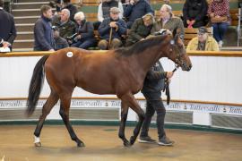 Lot  322 TBK1 8505Tattersalls