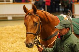 Lot  322 THIT 1097Tattersalls