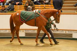 Lot  322 THIT 1108Tattersalls