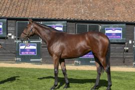 Lot  325 0855 TBK1Tattersalls