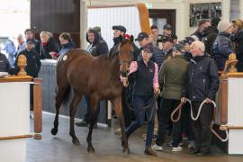 Lot  325 TBK1 8529Tattersalls